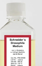 Drosophila media